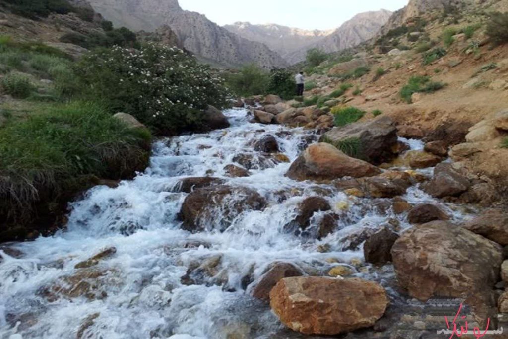 تعبیر خواب جوی آب، جوی آب زلال، کثیف و کدر 455 تعبیر خواب جوی آب