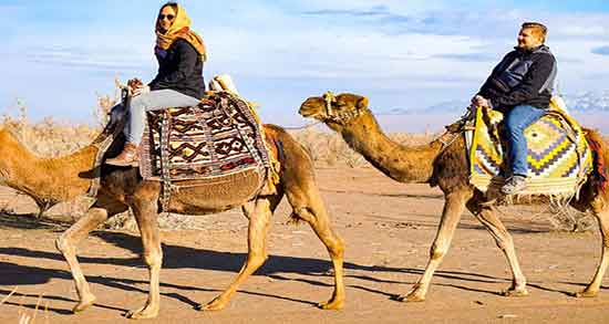 تعبیر خواب شتر سواری