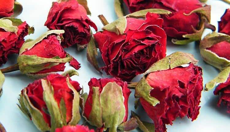 تعبیر خواب گل قرمز خشک شده