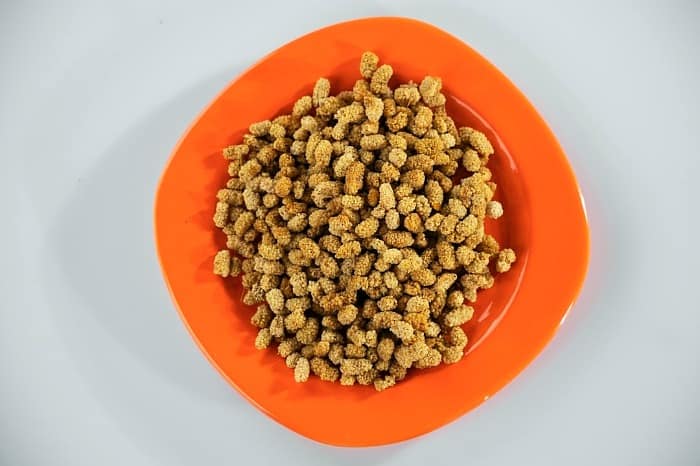 تعبیر خواب توت خشک