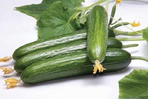 تعبیر خواب خیار