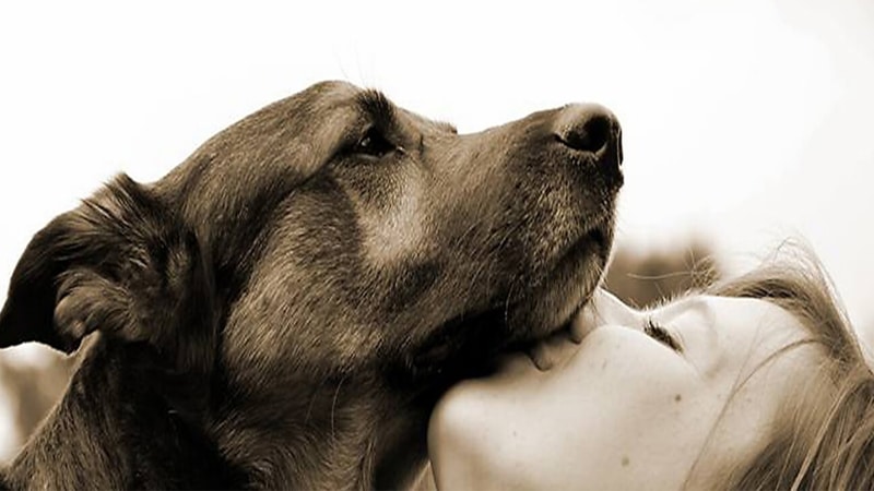 تعبیر خواب سکس با سگ 1 تعبیر خواب رابطه جنسی با سگ