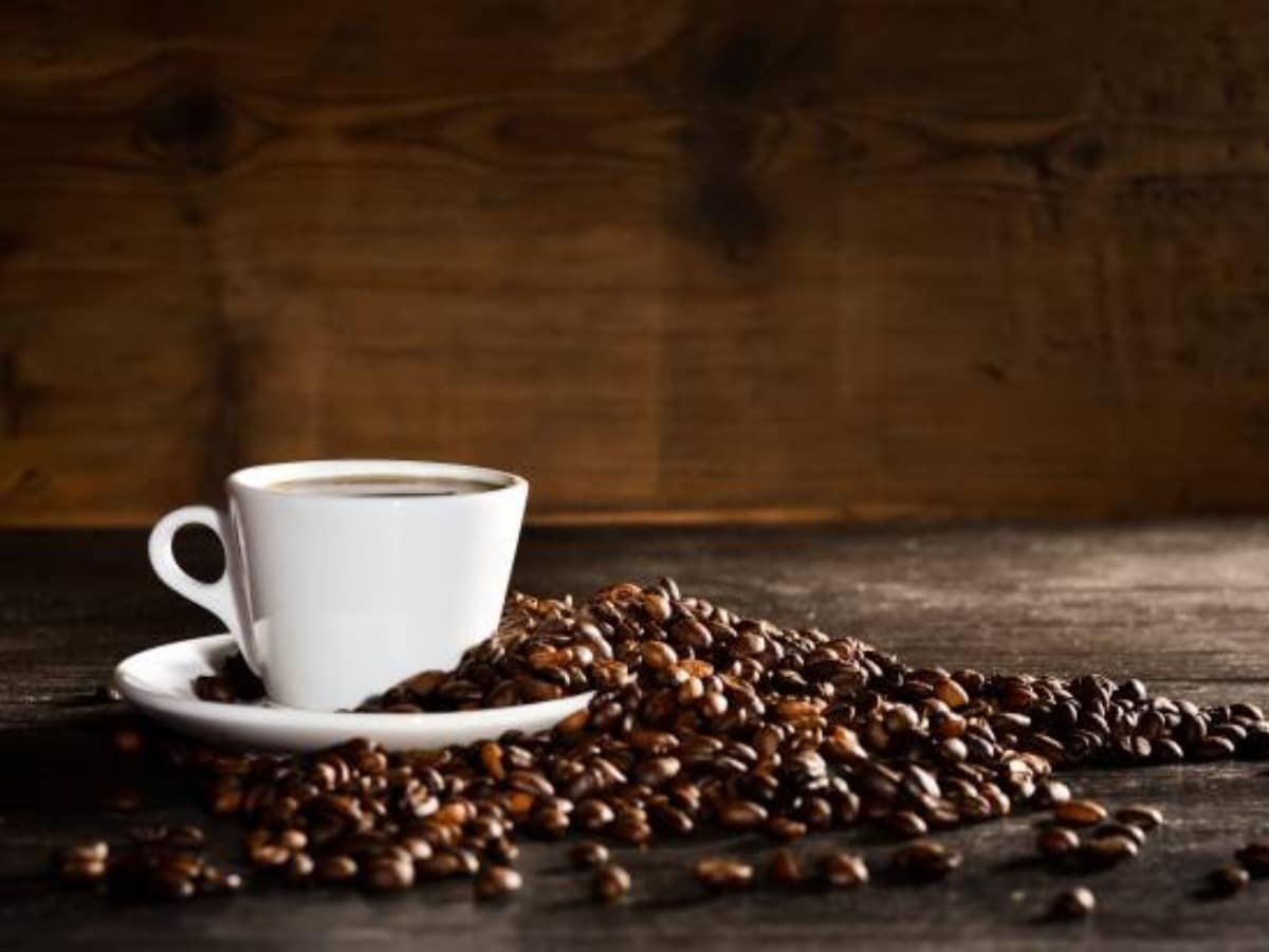 معنی و تعبیر شتر در فال قهوه